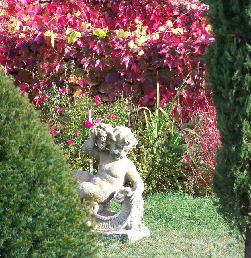 Bed and Breakfast La Charmeraie à Saint-Cirq  Extérieur photo